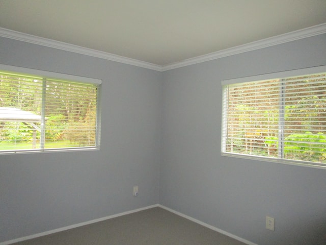 11-3893 7th St, Volcano, HI 96785 - photo 7