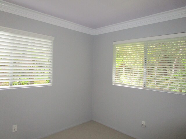11-3893 7th St, Volcano, HI 96785 - photo 14