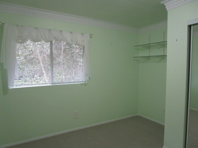 11-3893 7th St, Volcano, HI 96785 - photo 16