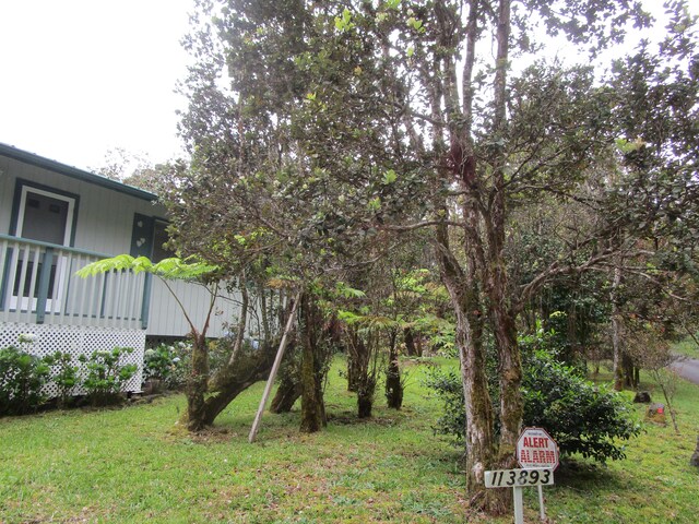 11-3893 7th St, Volcano, HI 96785 - photo 23