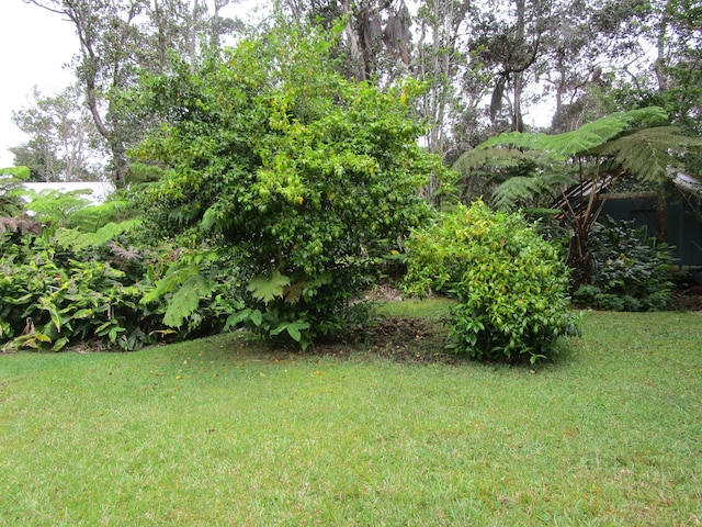 11-3893 7th St, Volcano, HI 96785 - photo 26