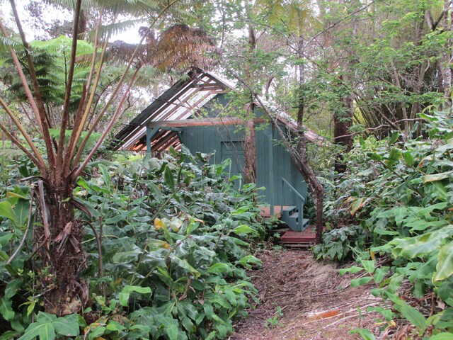 11-3893 7th St, Volcano, HI 96785 - photo 28
