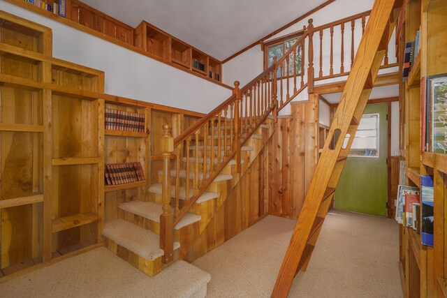 66-1665-A Kawaihae Rd, Kamuela, HI 96743 - stairs with carpet flooring