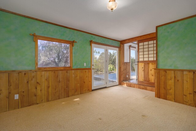 66-1665-A Kawaihae Rd, Kamuela, HI 96743 - empty room featuring carpet flooring, wooden walls, a wainscoted wall, and crown molding