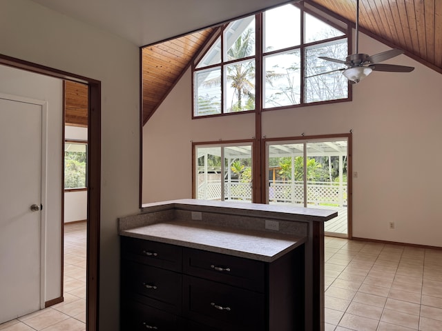 15-2015 12th Ave, Keaau, HI 96749 - kitchen with wooden ceiling, dark cabinetry, plenty of natural light, light tile patterned flooring, and a ceiling fan