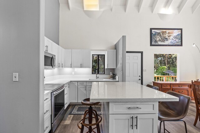 11-3827 5th St, Volcano, HI 96785 - kitchen featuring appliances with stainless steel finishes, a sink, a kitchen bar, dark wood-style floors, and a high ceiling