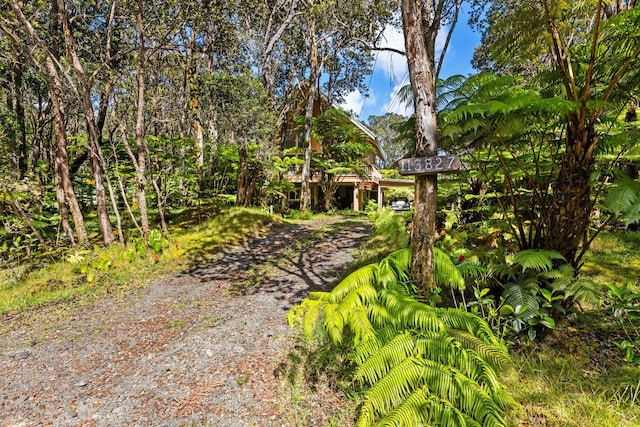 11-3827 5th St, Volcano, HI 96785 - view of yard