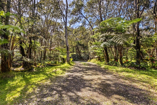 11-3827 5th St, Volcano, HI 96785 - view of road with a view of trees
