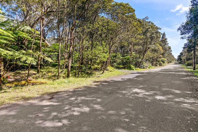 11-3827 5th St, Volcano, HI 96785 - view of asphalt road