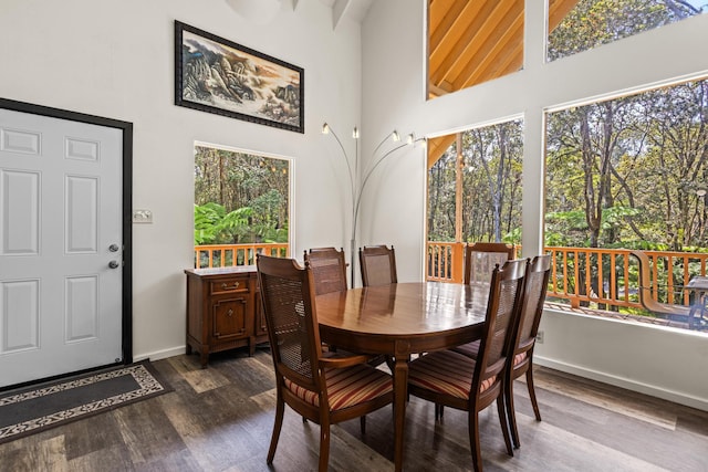 11-3827 5th St, Volcano, HI 96785 - dining space with high vaulted ceiling, dark wood-type flooring, and baseboards