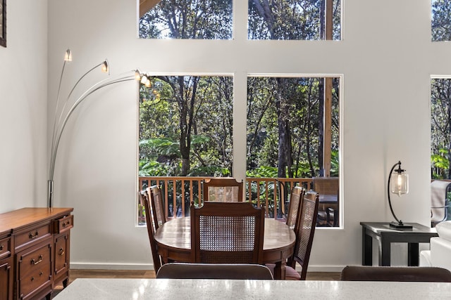11-3827 5th St, Volcano, HI 96785 - dining space with baseboards, plenty of natural light, and a high ceiling