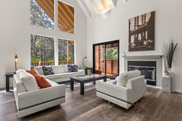 11-3827 5th St, Volcano, HI 96785 - living area featuring high vaulted ceiling, beamed ceiling, healthy amount of natural light, dark wood-type flooring, and a fireplace