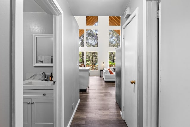 11-3827 5th St, Volcano, HI 96785 - corridor featuring a sink, dark wood-type flooring, and baseboards
