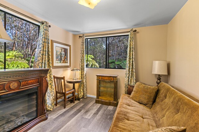 11-3827 5th St, Volcano, HI 96785 - sitting room featuring wood finished floors, a fireplace, and baseboards