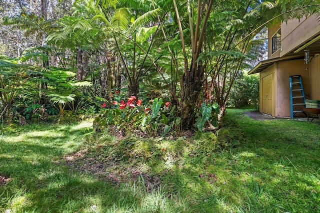 11-3827 5th St, Volcano, HI 96785 - view of grassy yard
