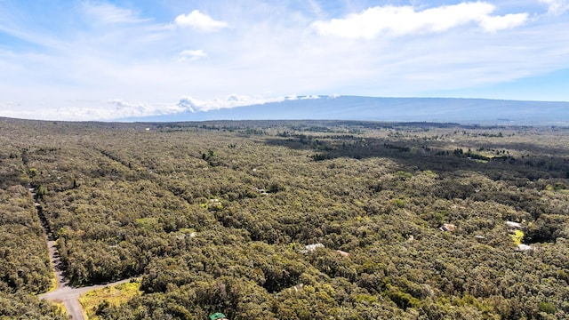 11-3827 5th St, Volcano, HI 96785 - view of mountain background with a forest