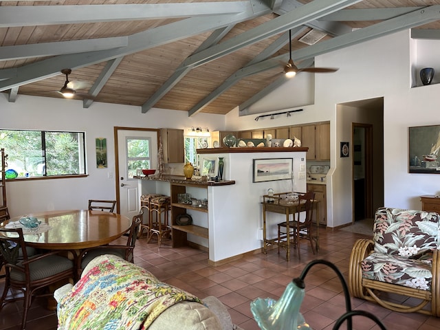1769 Mei Pl, Kapaa, HI 96746 - living area featuring a ceiling fan, dark tile patterned flooring, and wooden ceiling