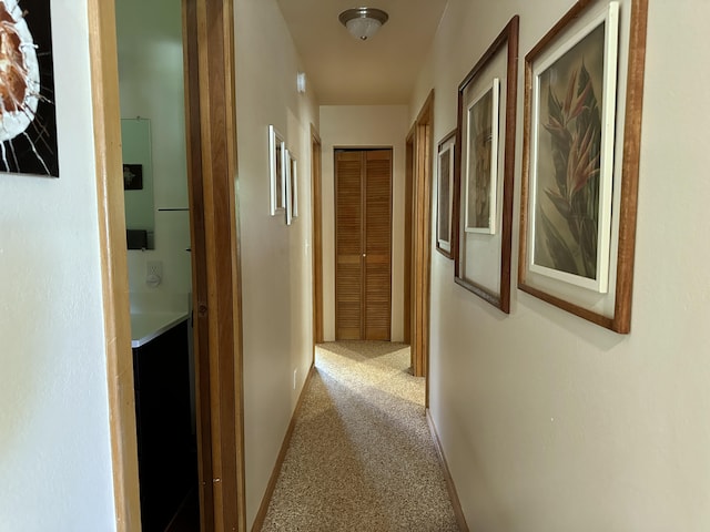 1769 Mei Pl, Kapaa, HI 96746 - hallway with carpet flooring