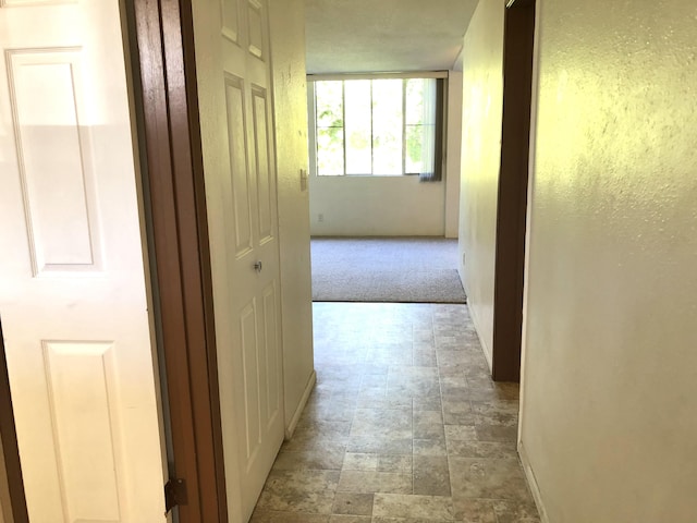 360 Kauila St Unit 203, Hilo, HI 96720 - hall featuring carpet floors and baseboards