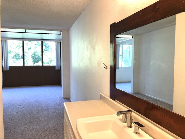 360 Kauila St Unit 203, Hilo, HI 96720 - bathroom with plenty of natural light, vanity, and a textured ceiling
