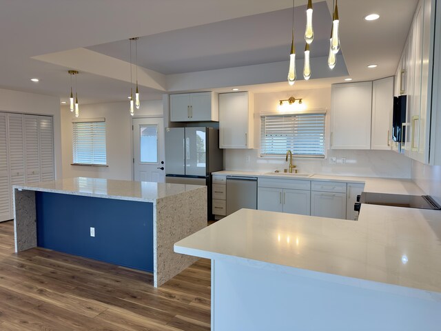 64-5304 Puu Nani Dr, Kamuela, HI 96743 - kitchen with appliances with stainless steel finishes, dark wood-type flooring, a raised ceiling, a kitchen island, and recessed lighting