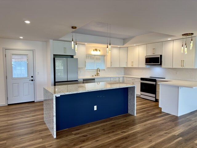 64-5304 Puu Nani Dr, Kamuela, HI 96743 - kitchen featuring stainless steel appliances, dark wood finished floors, a center island, pendant lighting, and recessed lighting