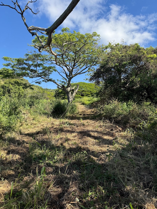 Hilea Rd, Naalehu, HI 96772