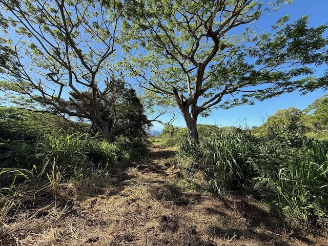 Hilea Rd, Naalehu, HI 96772