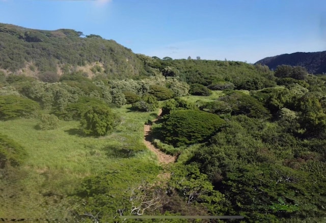 Hilea Rd, Naalehu, HI 96772