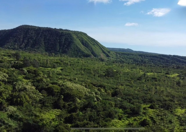 Hilea Rd, Naalehu, HI 96772