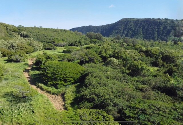 Hilea Rd, Naalehu, HI 96772