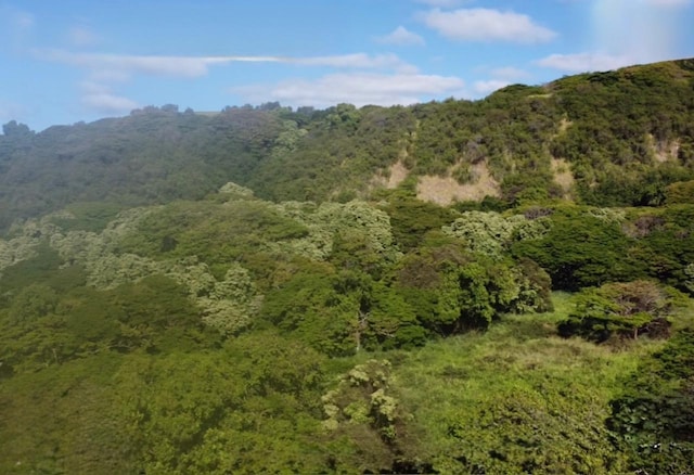 Hilea Rd, Naalehu, HI 96772