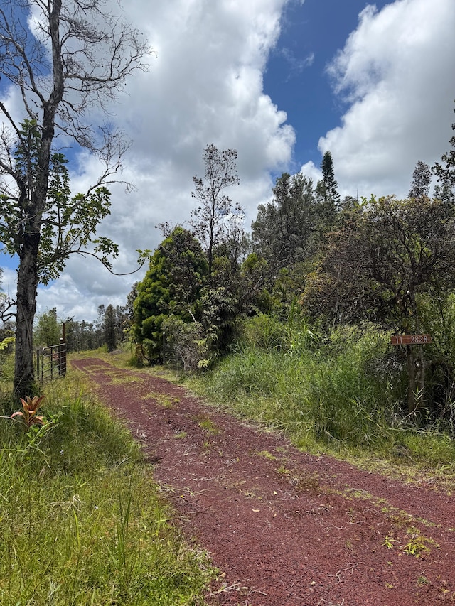 11-2828 Lehua St, Mountain View, HI 96771 - view of dirt / gravel road