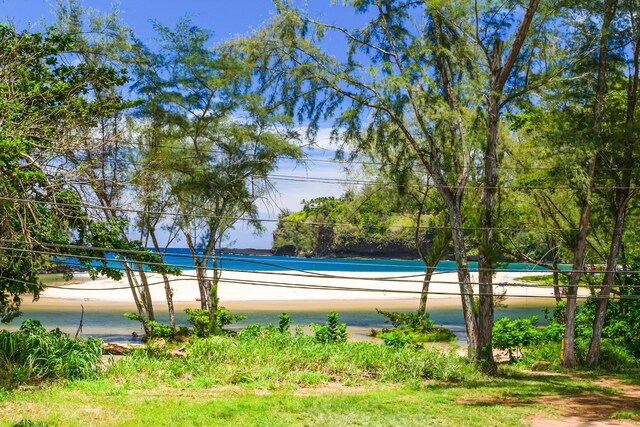 3181 Kalihiwai Rd Unit 2, Kilauea, HI 96754 - photo 7
