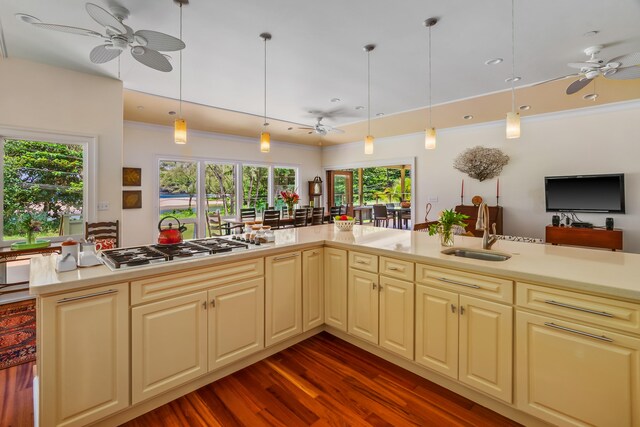 3181 Kalihiwai Rd Unit 2, Kilauea, HI 96754 - photo 15