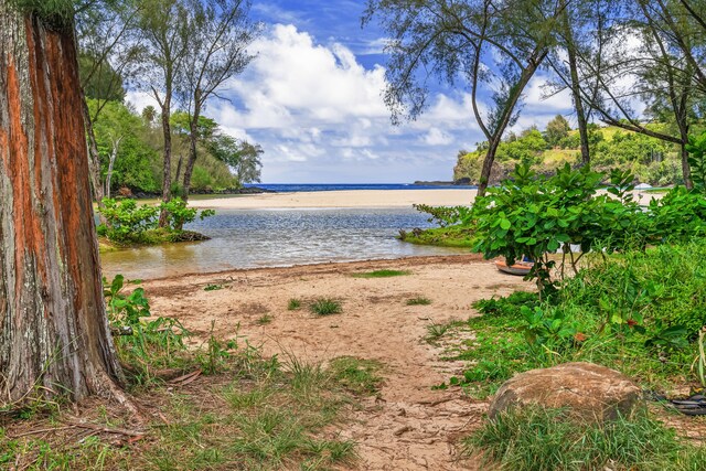 3181 Kalihiwai Rd Unit 2, Kilauea, HI 96754 - photo 30