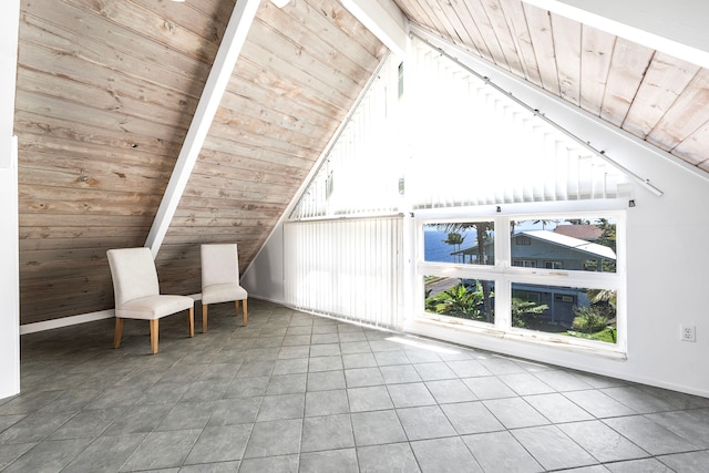 36-2333 Old Mamalahoa Hwy, Laupahoehoe, HI 96764 - bonus room featuring wooden ceiling, tile patterned flooring, and baseboards