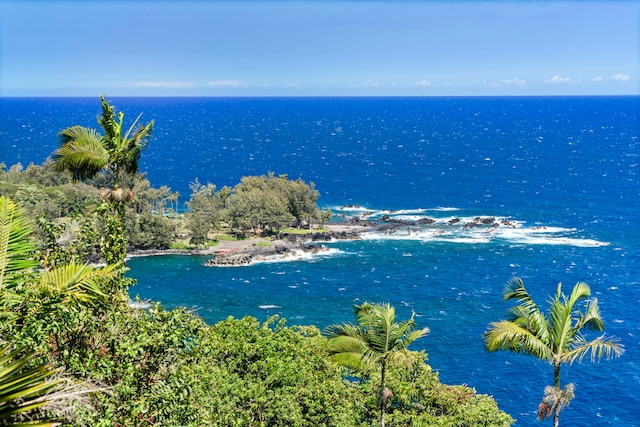 36-2333 Old Mamalahoa Hwy, Laupahoehoe, HI 96764 - water view
