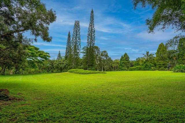 Kahiliholo Rd, Kilauea, HI 96754 - photo 4