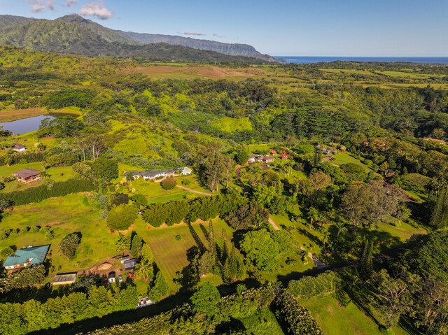 Kahiliholo Rd, Kilauea, HI 96754 - photo 12
