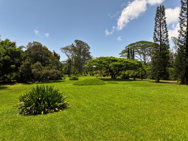 Kahiliholo Rd, Kilauea, HI 96754 - photo 5