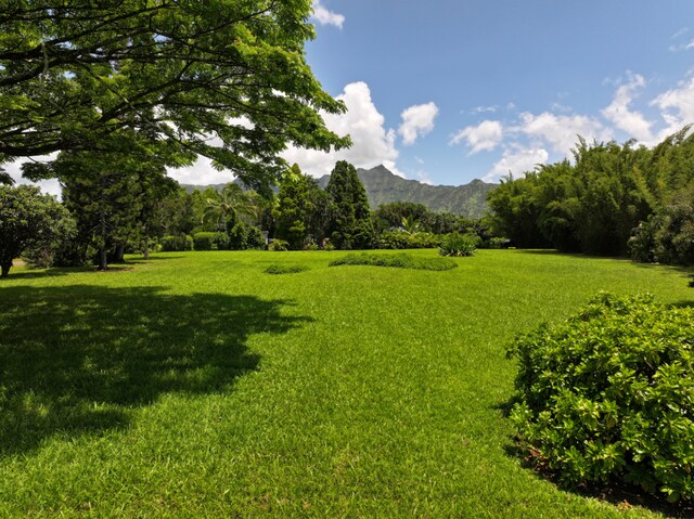 Kahiliholo Rd, Kilauea, HI 96754 - photo 6