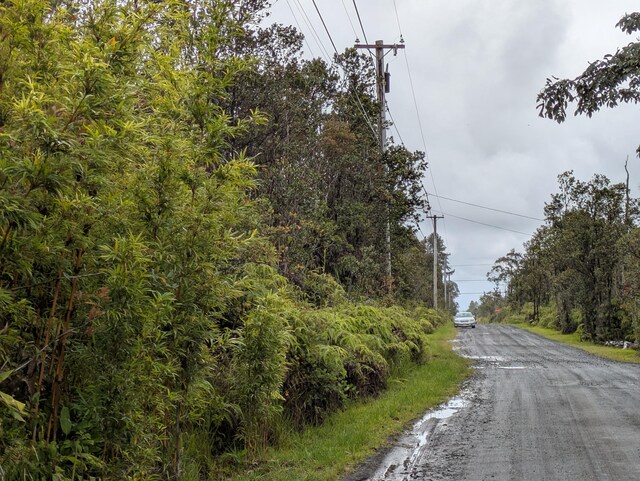 49 Kokokahi Rd, Volcano, HI 96785 - photo 2