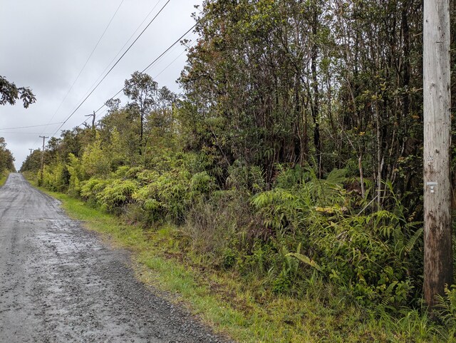 49 Kokokahi Rd, Volcano, HI 96785 - photo 3