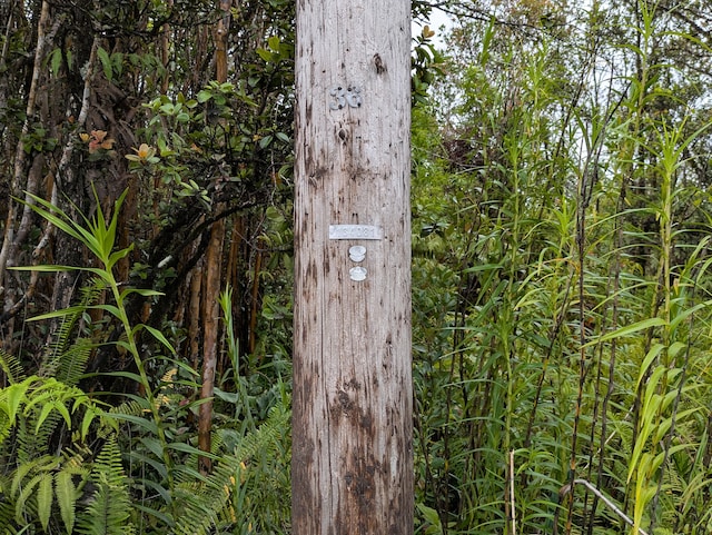 49 Kokokahi Rd, Volcano, HI 96785 - photo 4