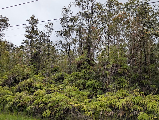 49 Kokokahi Rd, Volcano, HI 96785 - photo 5