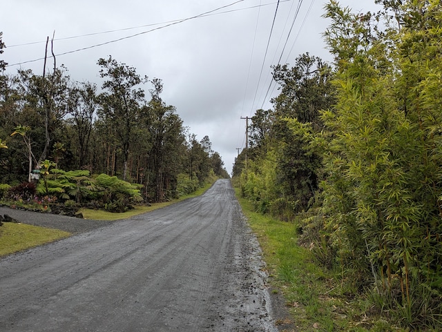 49 Kokokahi Rd, Volcano, HI 96785 - photo 1