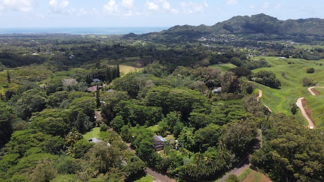 1370 Honoohala Pl, Kapaa, HI 96746 - aerial view of property's location featuring a forest and a mountainous background
