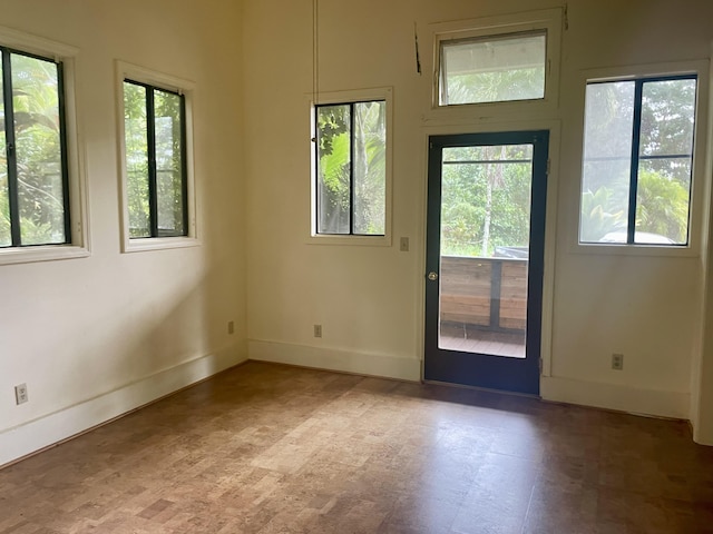 1370 Honoohala Pl, Kapaa, HI 96746 - entryway with plenty of natural light and baseboards