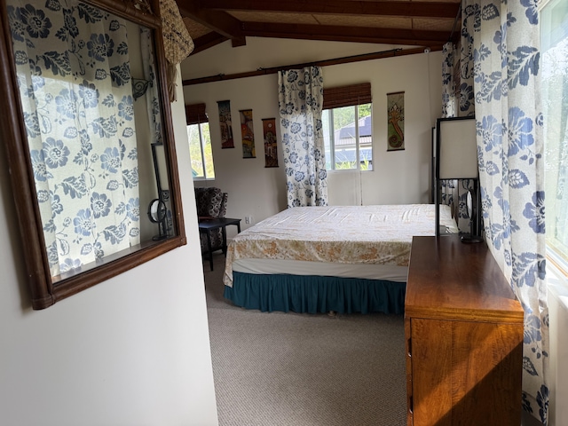 15-1672 7th Ave, Keaau, HI 96749 - photo 10